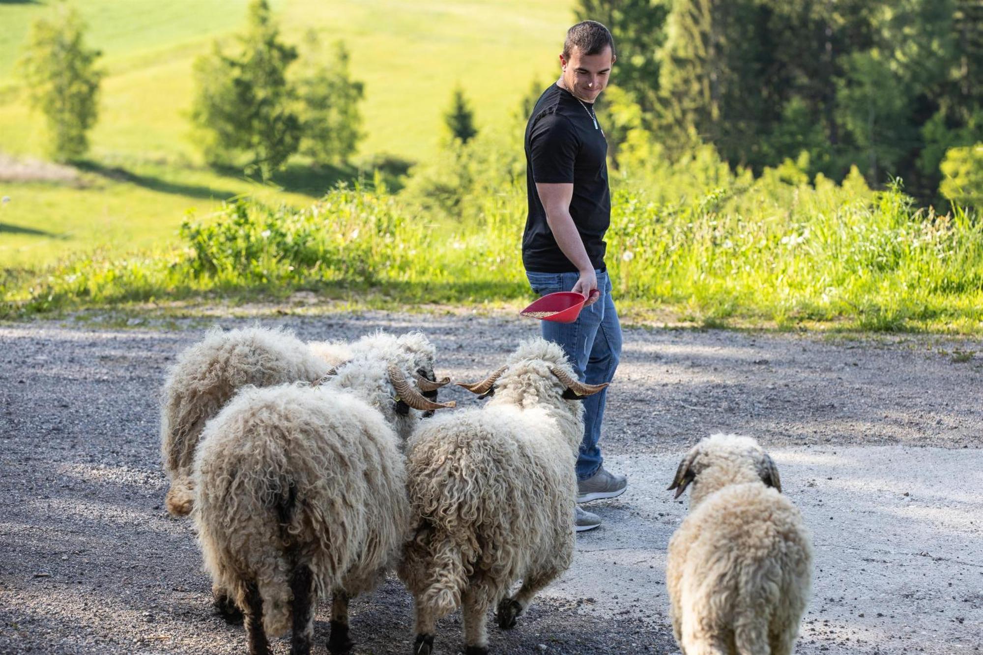 Ferienwohnung Kagerer Gutau Buitenkant foto